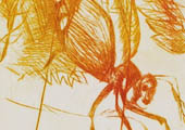 Neue Druckgrafik